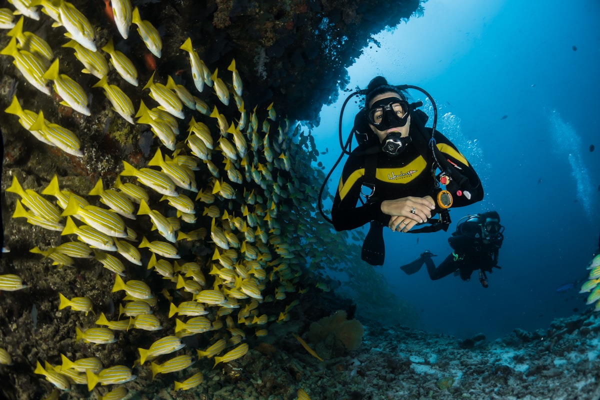 How We Source Sustainably Across the Maldives