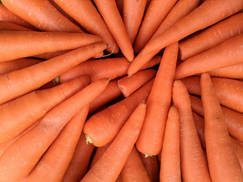 Carrot