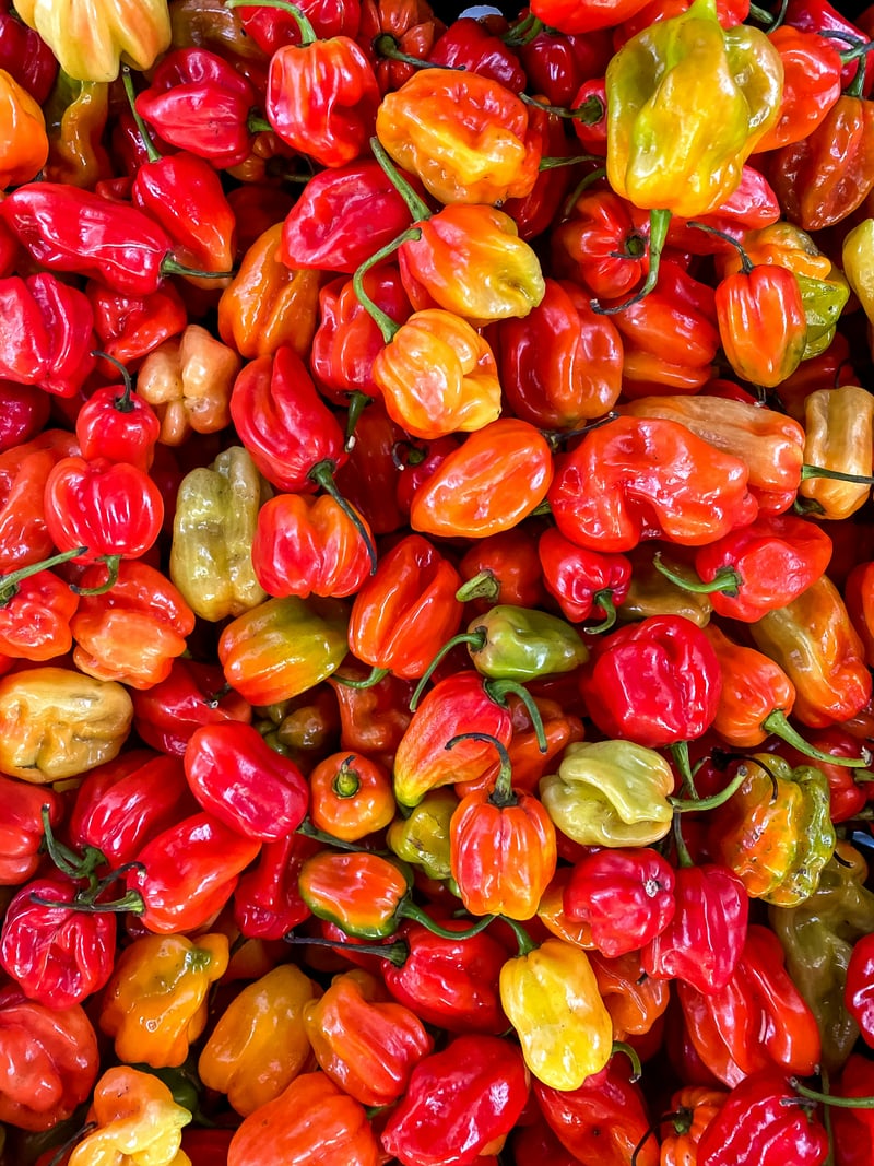 Hot Chilli