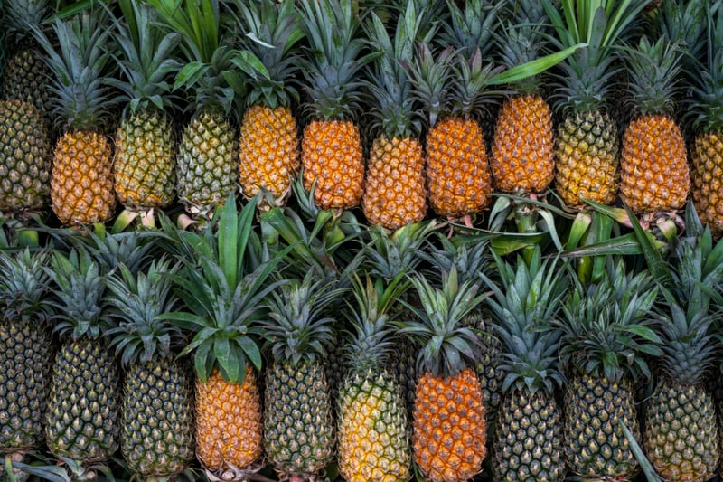 Pineapple