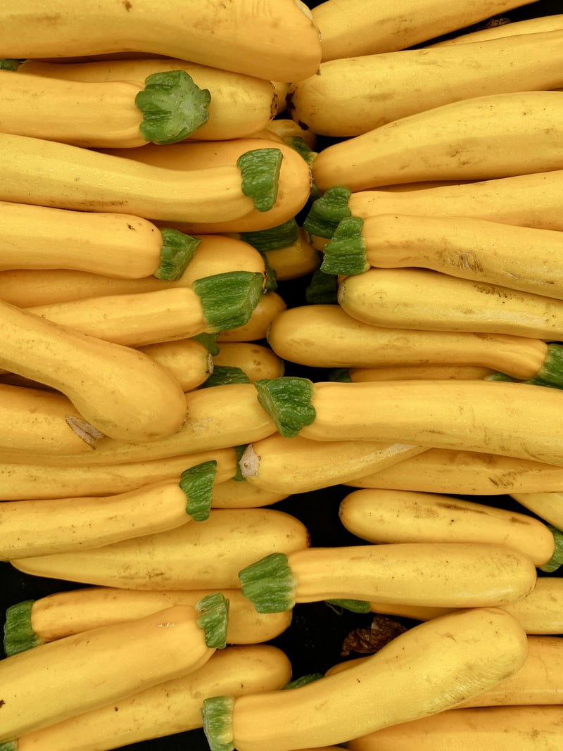 Yellow Zucchini
