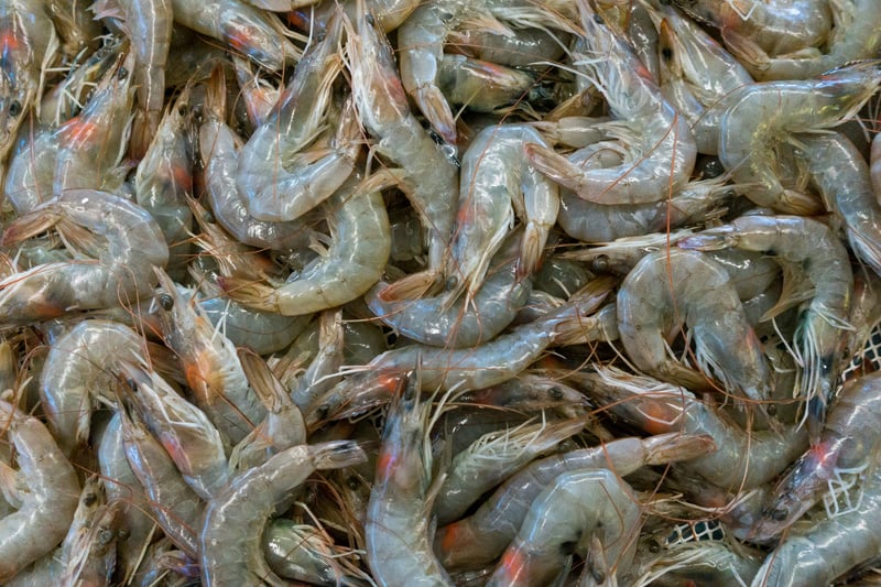 Prawns