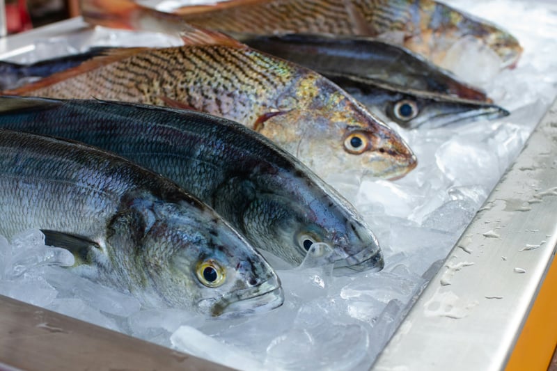 Reef Fish